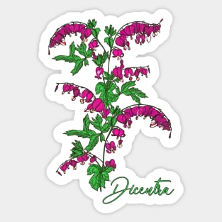 Flower shirt-Spring flower Dicentra-Spring flowers Bleeding heart Sticker